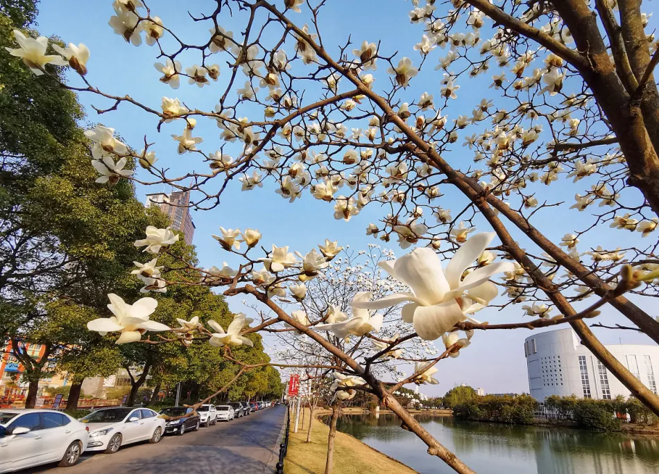 松江区松江区移动宽带